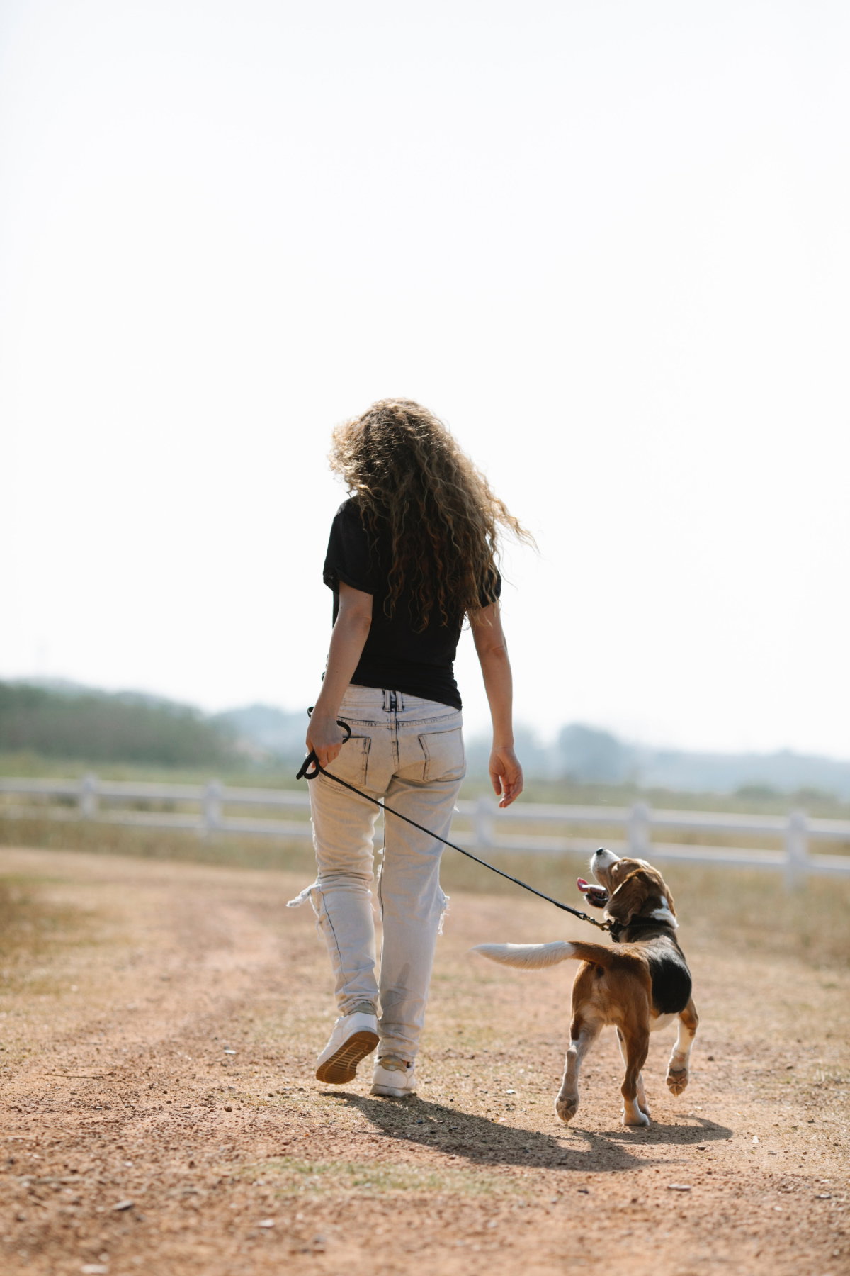 Spaziergang mit Hund