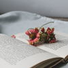 So romantisch! Diese 5 Liebesromane solltest du im Frühling lesen