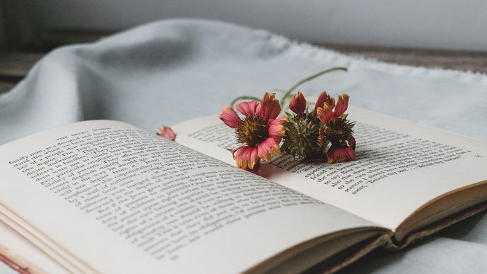 So romantisch! Diese 5 Liebesromane solltest du im Frühling lesen