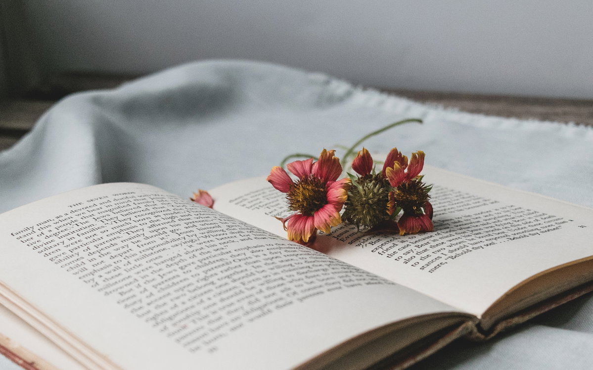 Aufgeklapptes Buch