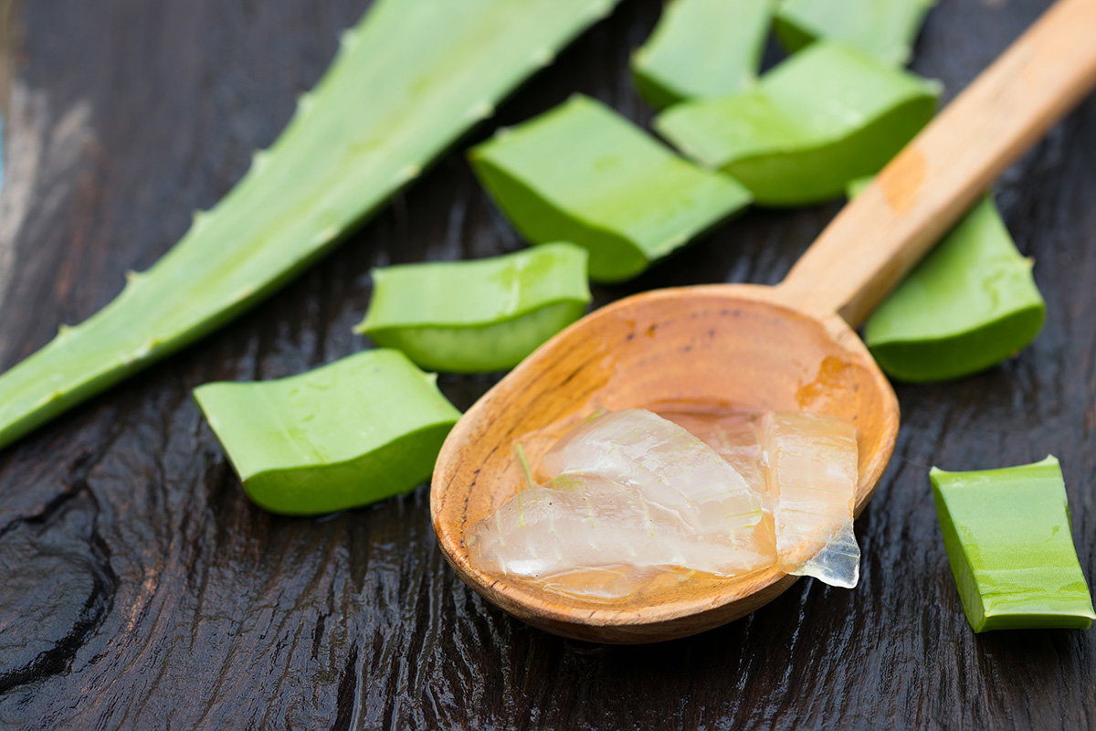Aloe Vera und Aloe Vera Gel auf Holzlöffel