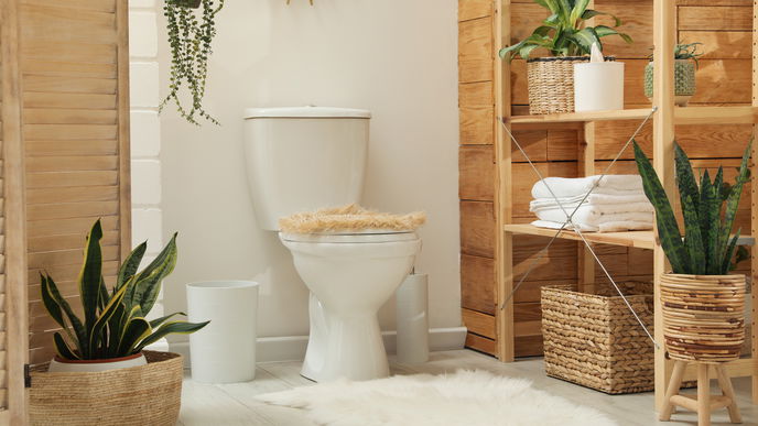 5 Dinge, die auf keinen Fall in die Toilette gehören