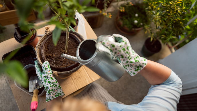 Perfekt zum Aufblühen: 3 einfache Dekoideen für alte Blumentöpfe im Frühling