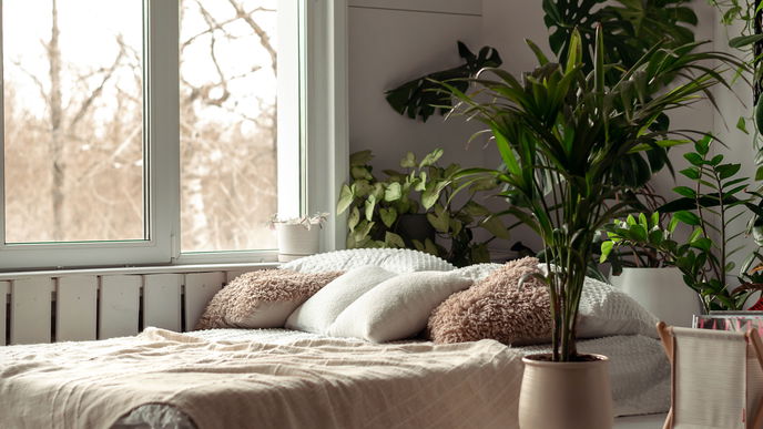 Lass dein Schlafzimmer atmen! Diese 3 Pflanzen gehören neben dein Bett