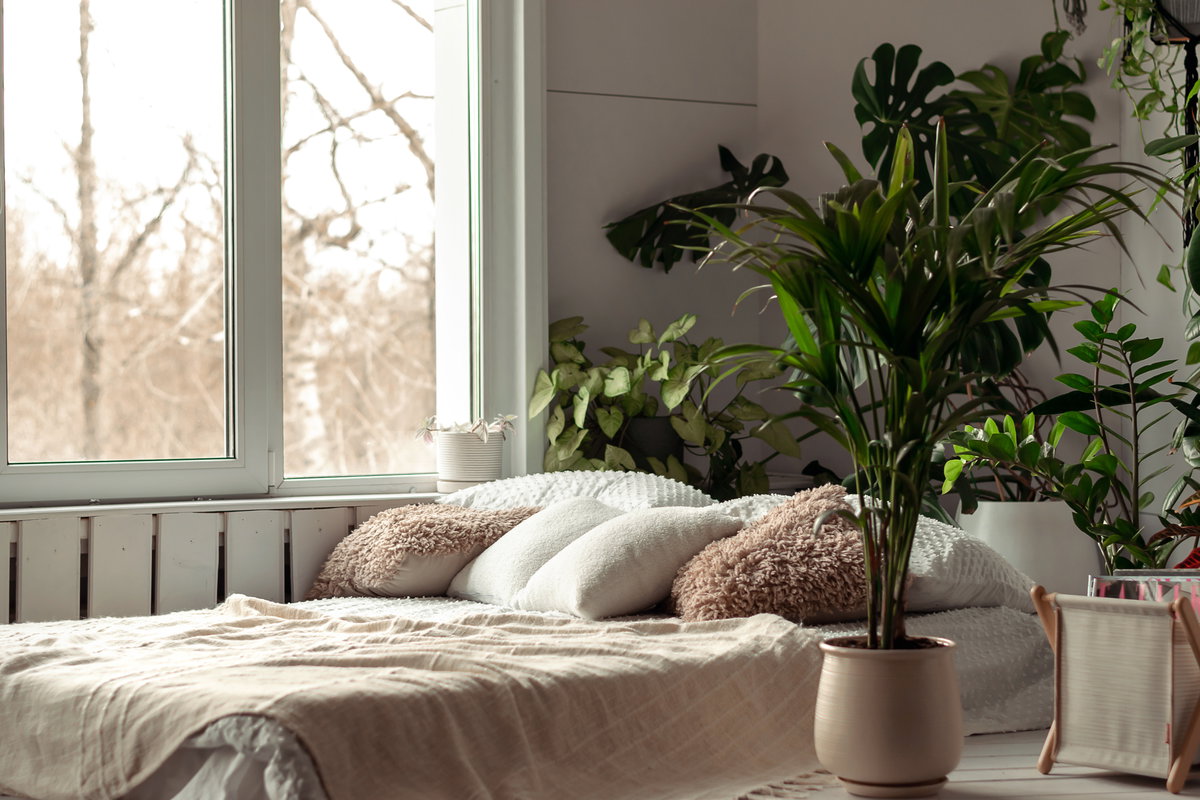 Schlafzimmer Zimmerpflanzen