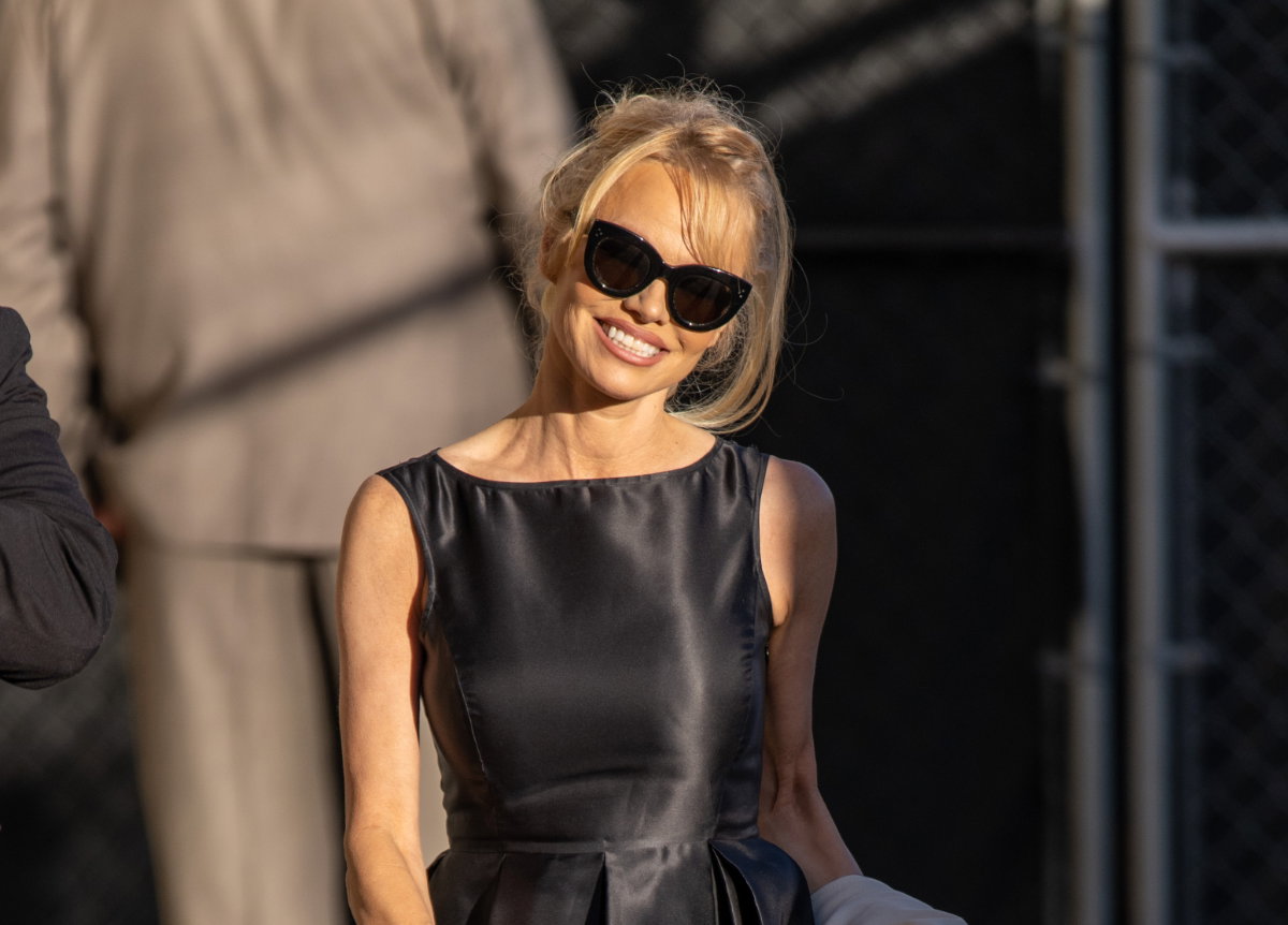 Pamela Anderson Look