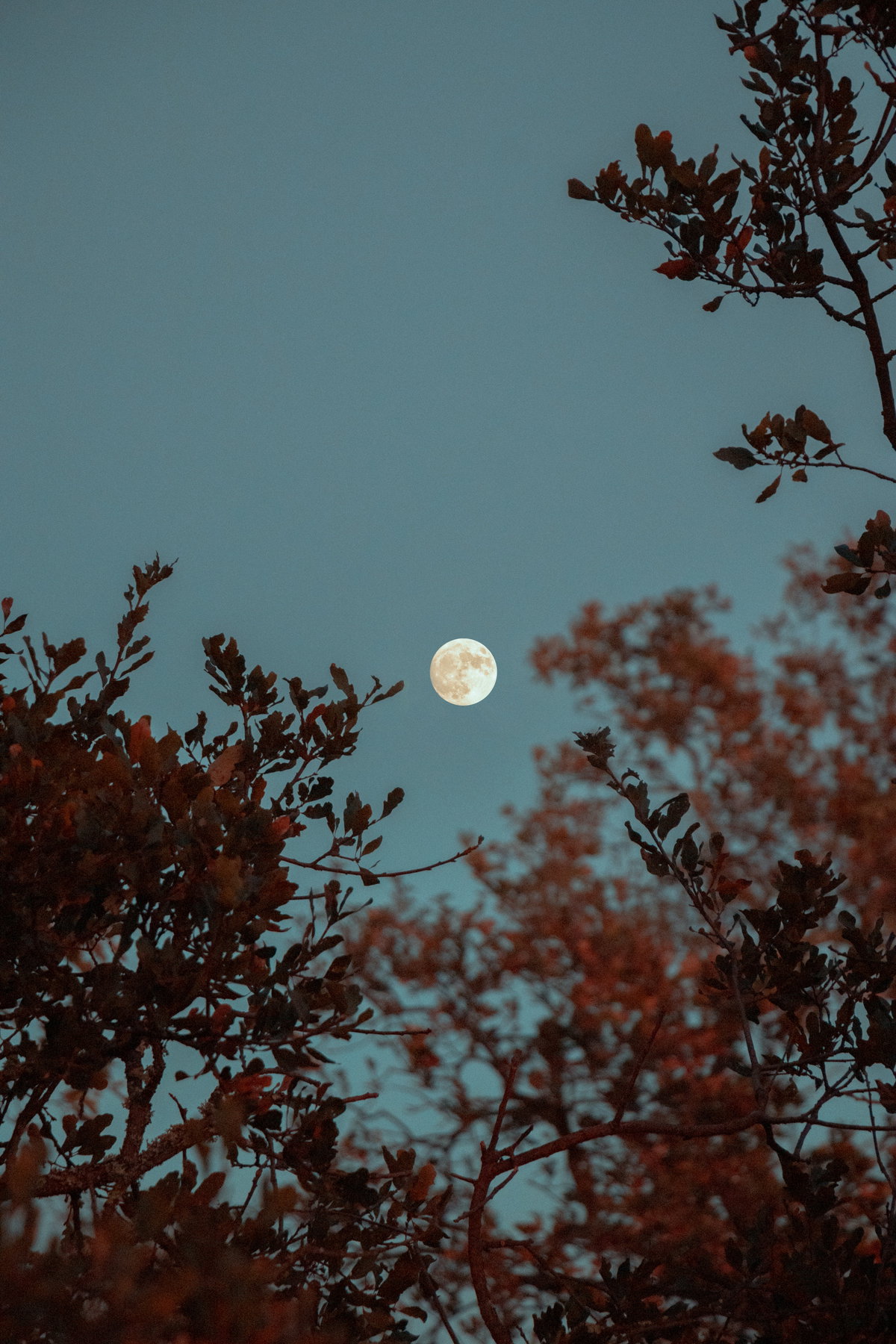 Vollmond Auswirkung