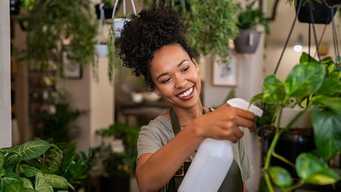 Pflanzen mit Milch besprühen: So verabschieden sich Schädlinge für immer