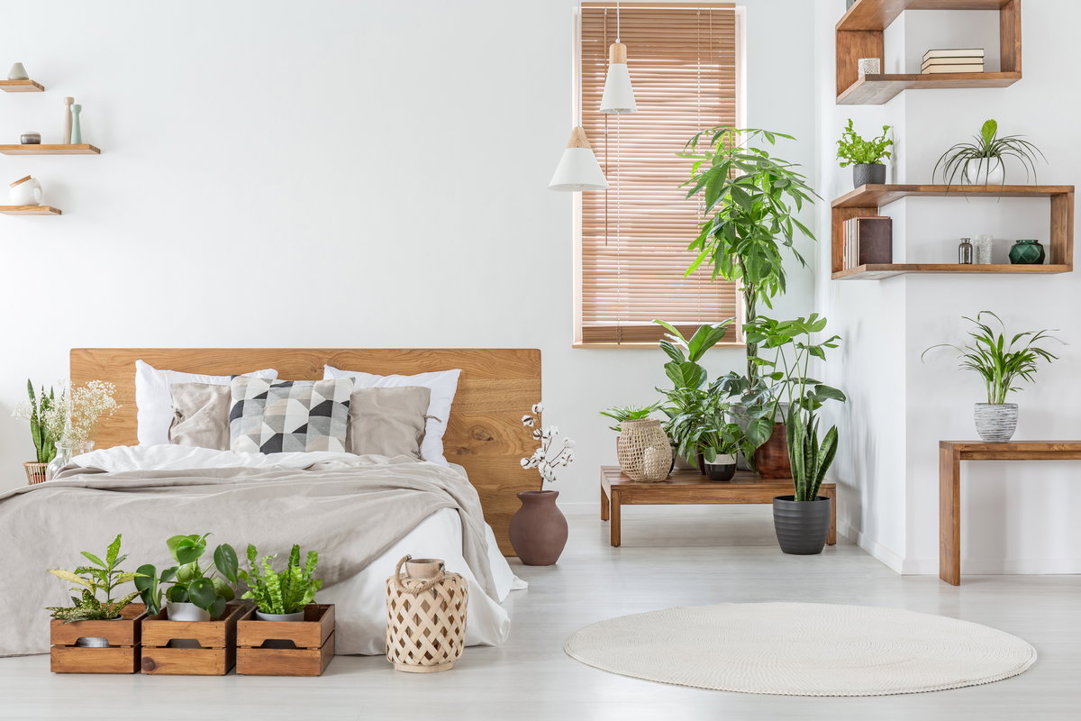 Pflanzen im Schlafzimmer