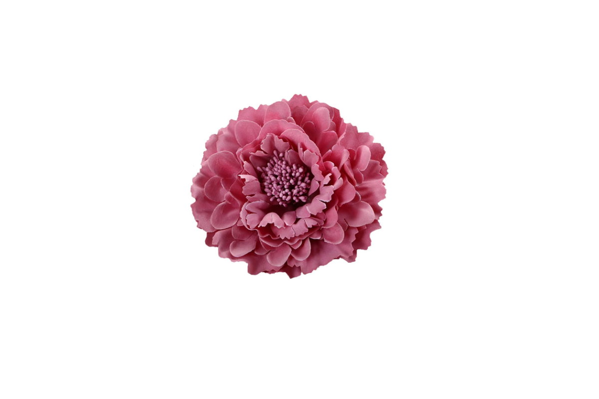 Ansteckblume