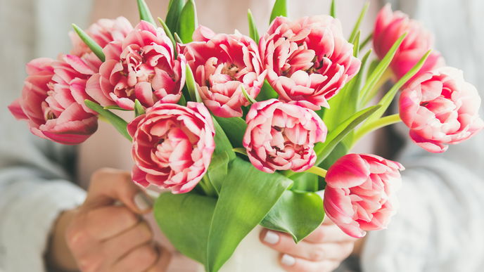Blumen perfekt in Szene setzen: Mit diesem Trick wirken deine Pflanzen in der Vase voller