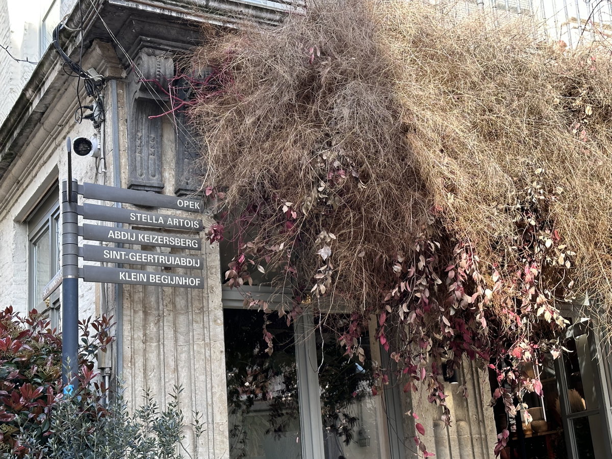 Mechelsestraat Leuven