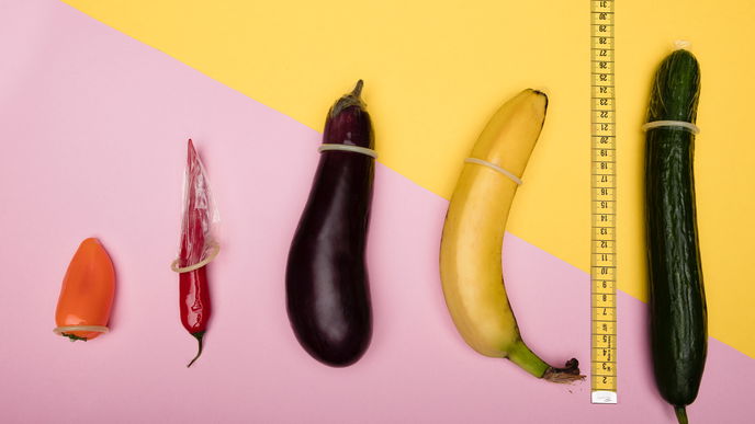 Blutpenis vs. Fleischpenis: Wie groß ist der Unterschied?