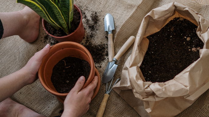 Erde gut, alles gut! An diesen 3 Anzeichen erkennst du gute Blumenerde 