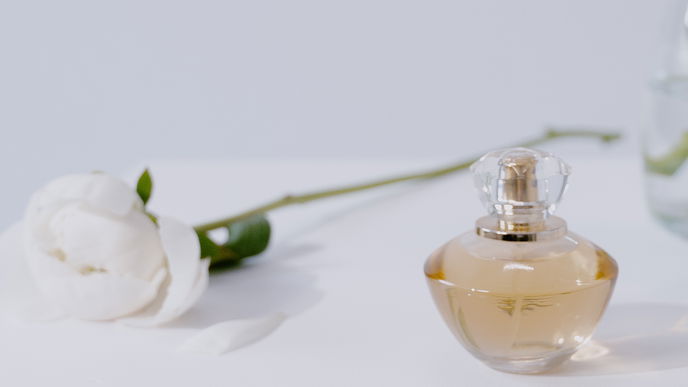 Parfum für den Frühling: Das sind die Favoriten der Jolie-Redaktion