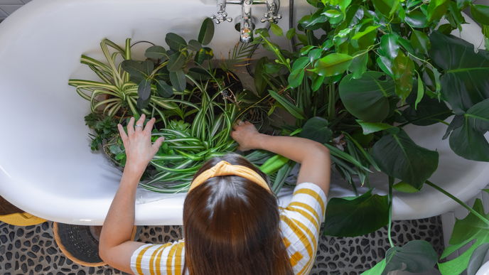 Genialer Trick: Darum solltest du deine Pflanzen unter Wasser tauchen