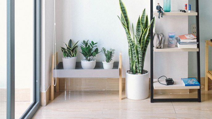 4 günstige Ideen für leere Ecken und Nischen im Wohnzimmer
