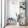 4 günstige Ideen für leere Ecken und Nischen im Wohnzimmer