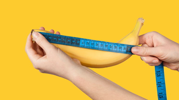 Wie lange wächst ein Penis und wie groß kann er werden? 