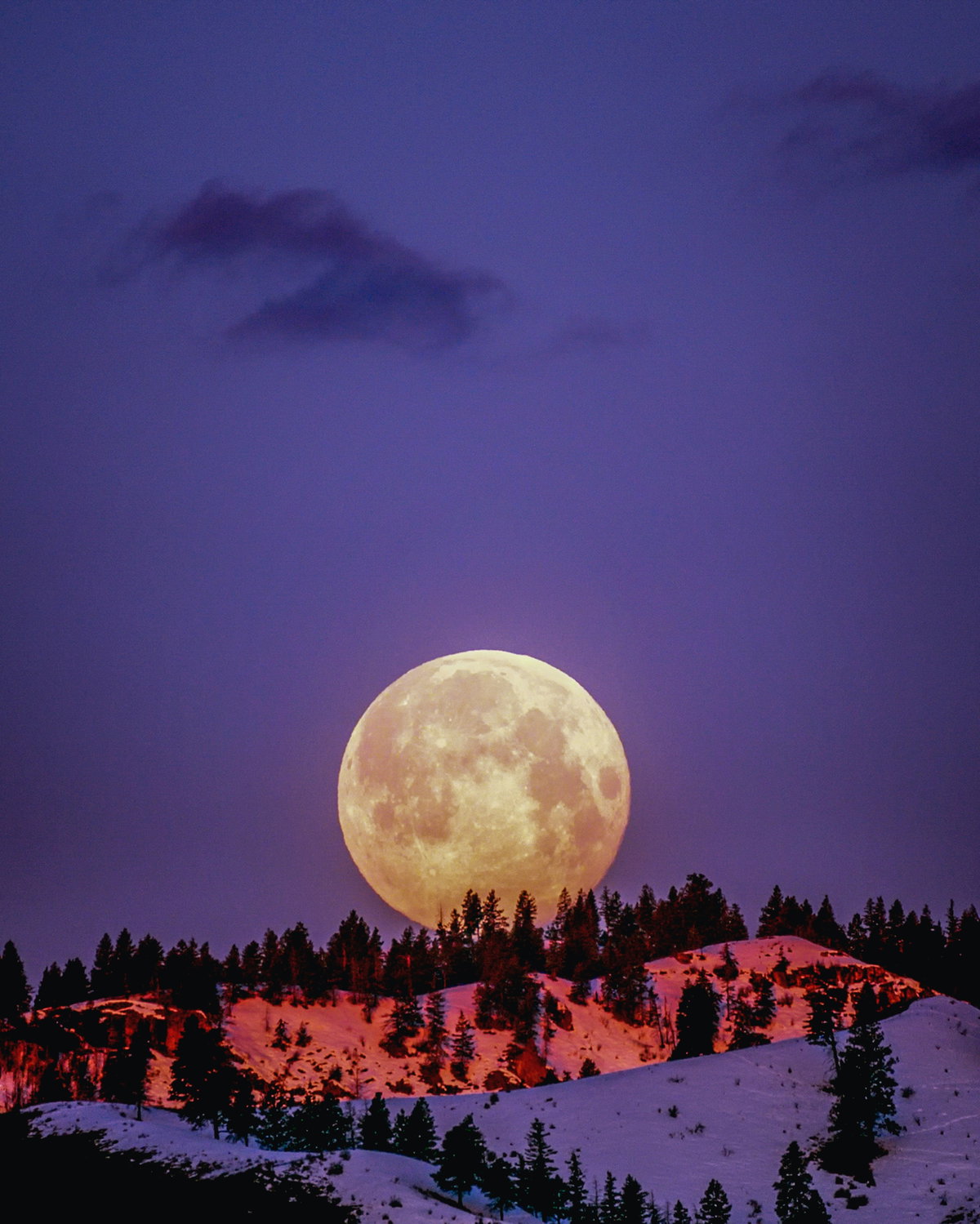 Vollmond