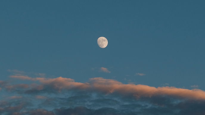 Wochenhoroskop: So stehen die Sterne vom 20. bis zum 26. November für alle Sternzeichen
