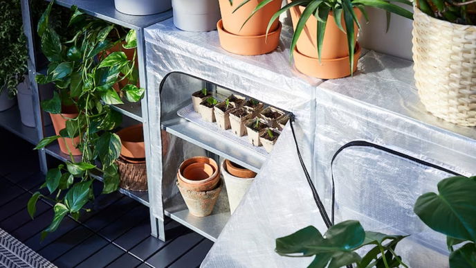 Mit diesem 20 Euro Teil von Ikea wachsen deine Zimmerpflanzen wie verrückt