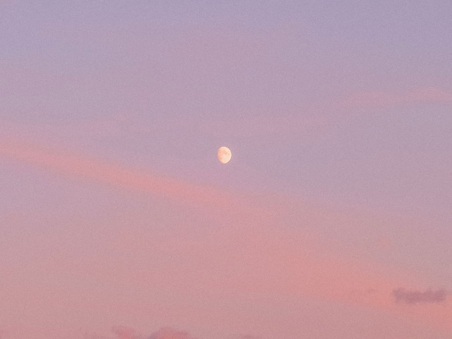 Zunehmender Mond am rosafarbenen Himmel
