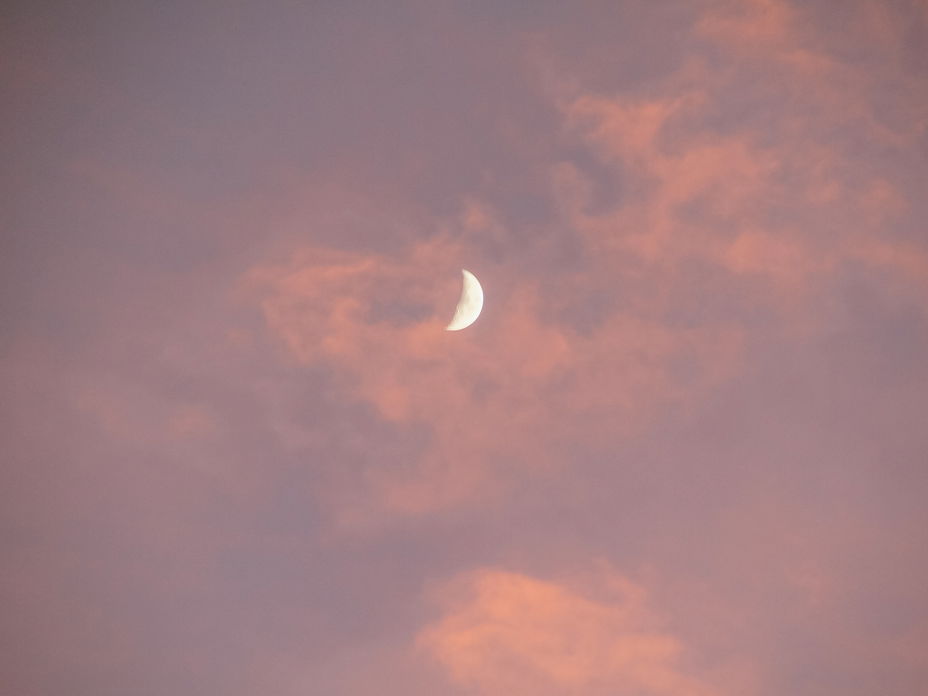 Mond am rosafarbenen Himmel