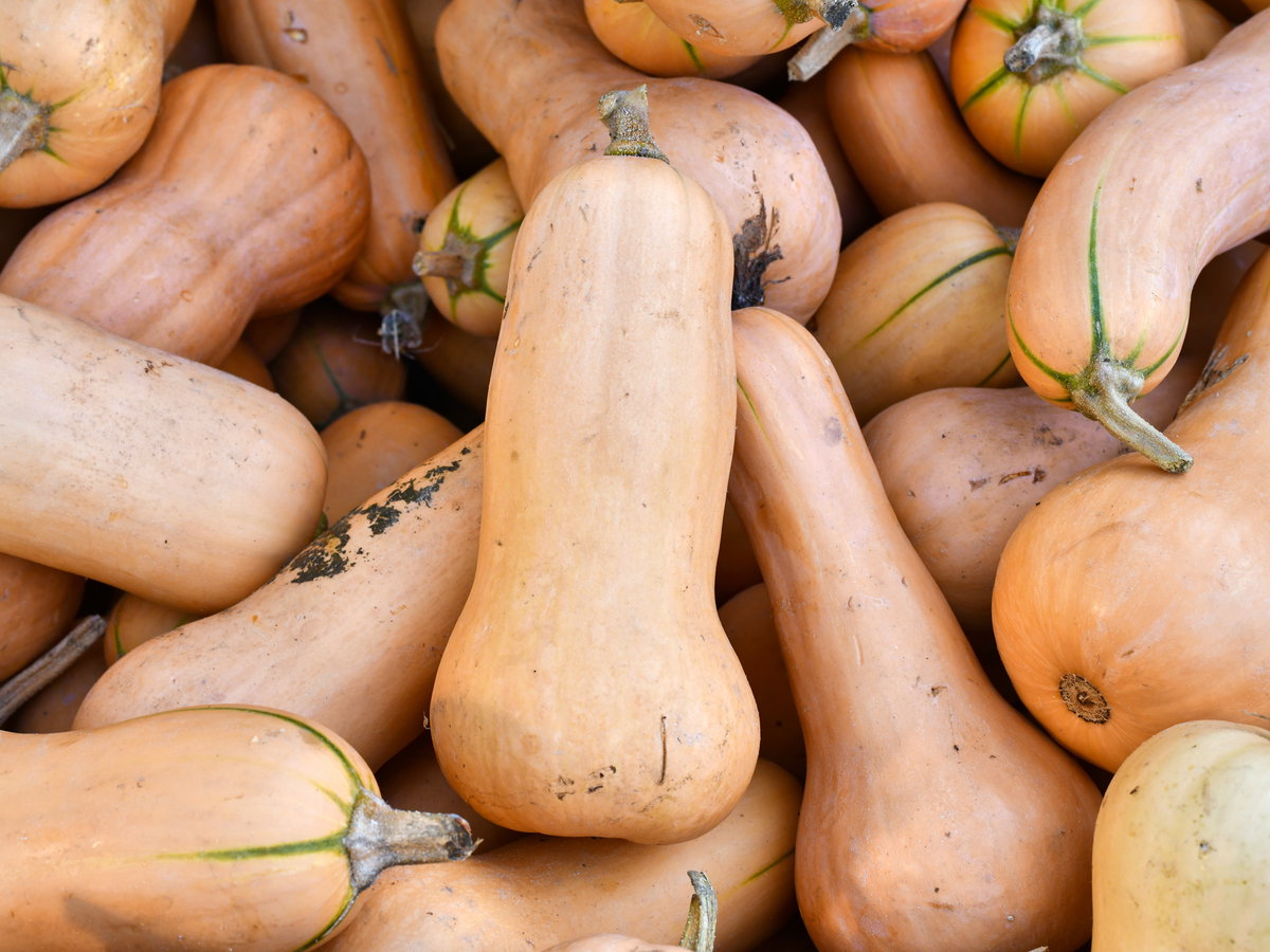 Butternut-Kürbisse