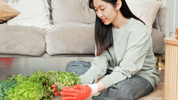 Microgreens: So viel Power steckt im Mikrogemüse