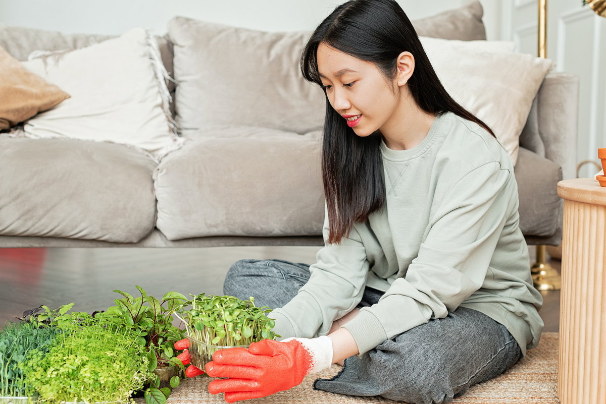 Frau mit Microgreens