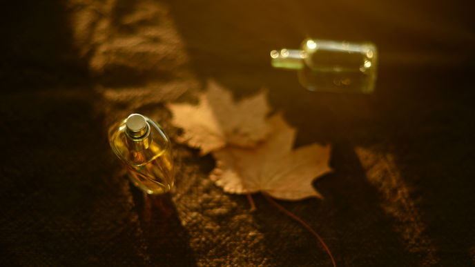 Parfum-Trends: 3 holzige Düfte die wir im Herbst tragen