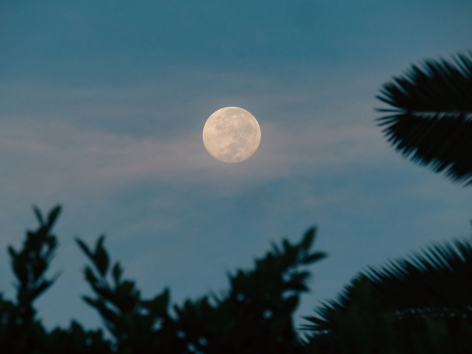 Vollmond