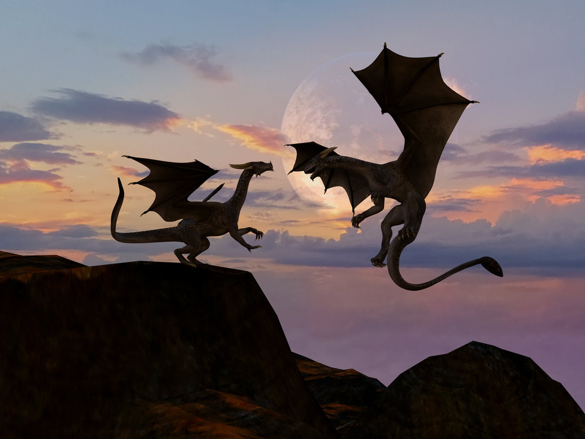 Zwei Drachen auf einem Fels