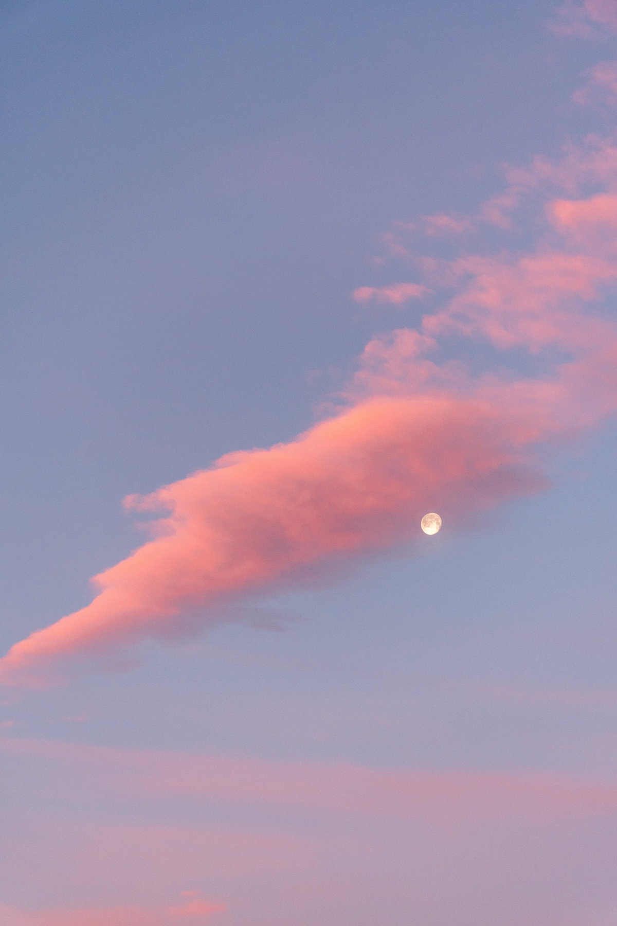 Vollmond bedeckt von rosafarbenen Wolken