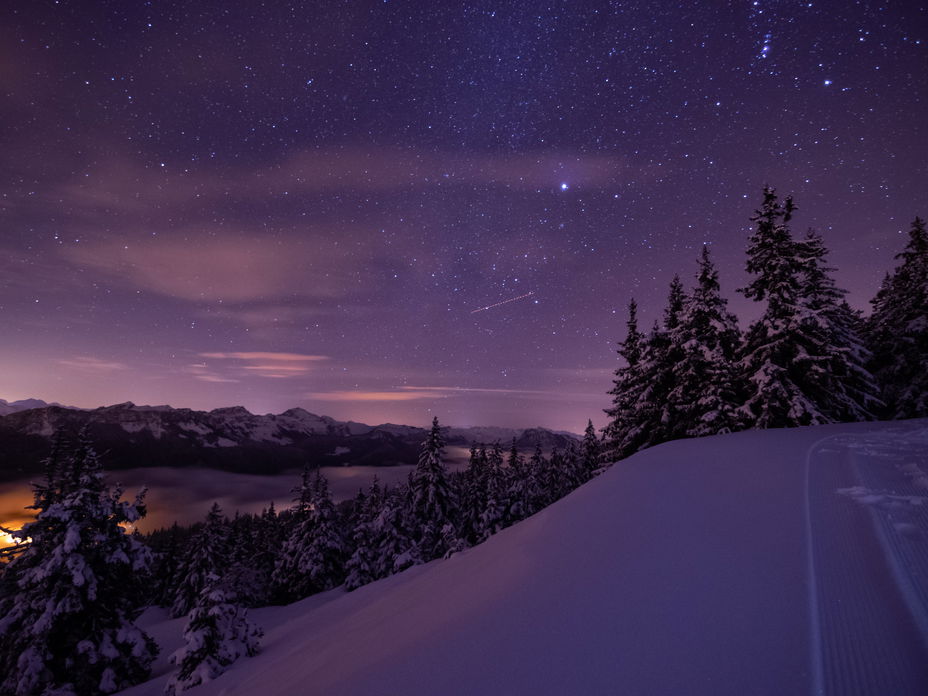 Winter Nacht