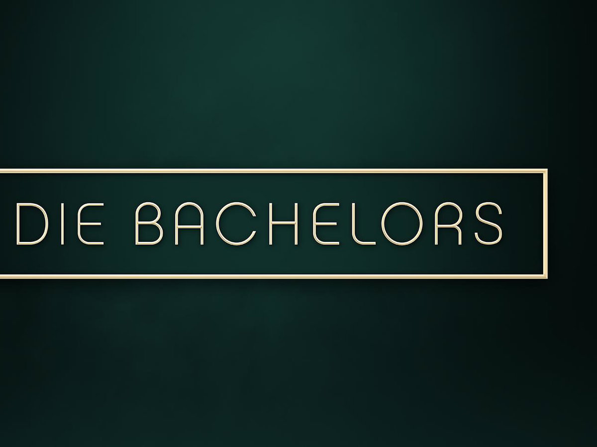 Die Bachelors Logo