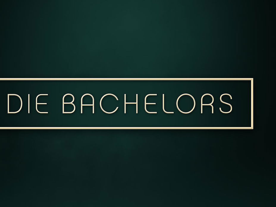 Die Bachelors Logo