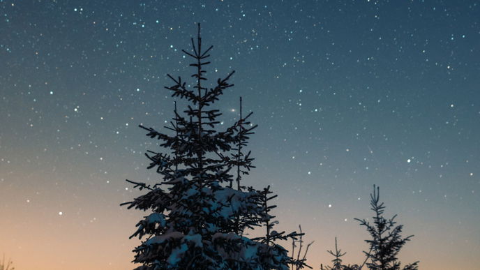 3 Sternzeichen, die dieses Jahr zum Weihnachtsgrinch werden