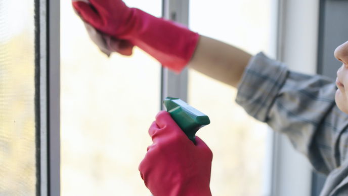 Fenster putzen mit Shampoo: So einfach geht es damit