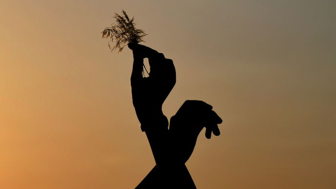 Wochenhoroskop: So stehen deine Sterne vom 16. bis zum 22. Dezember