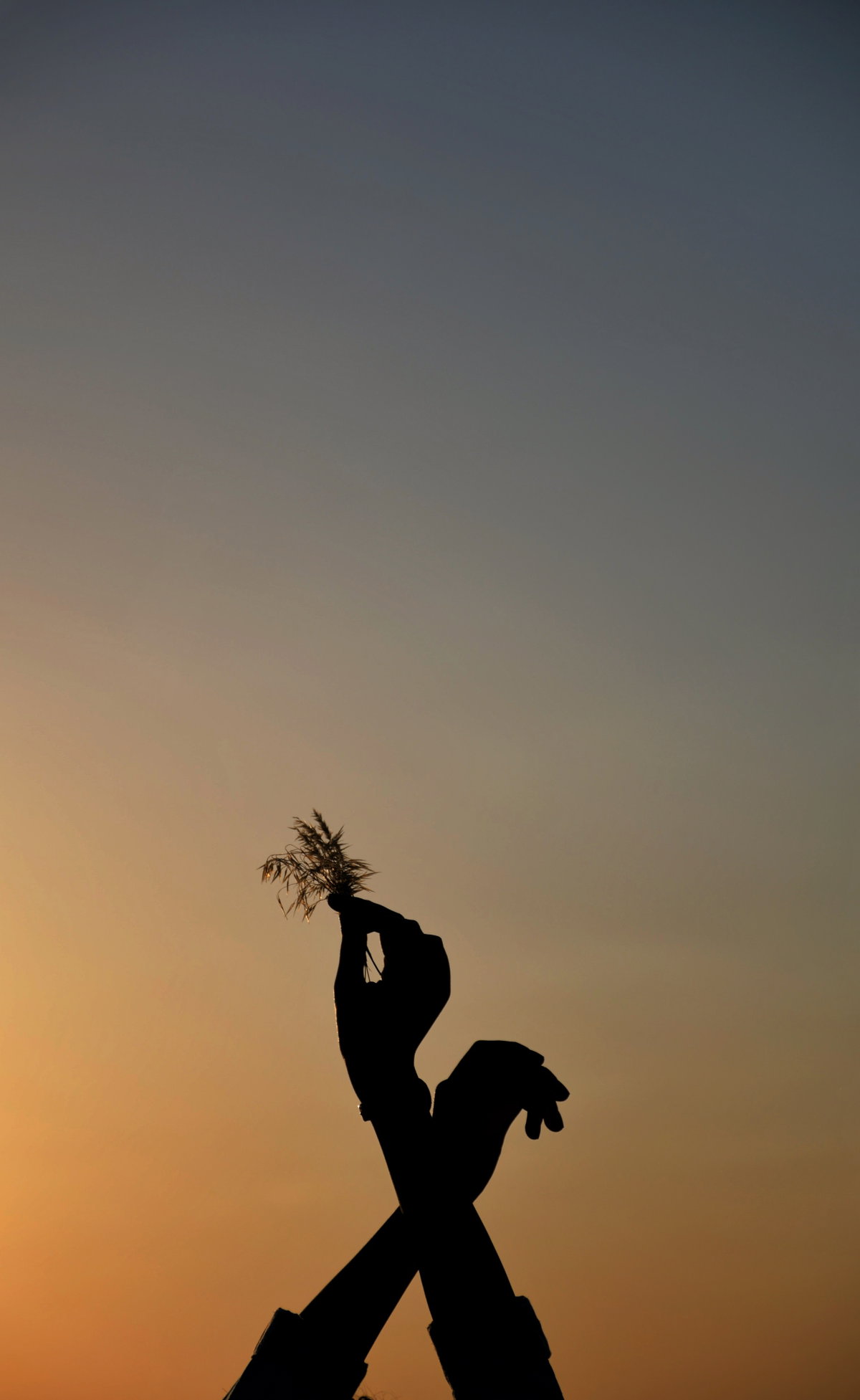 Zwei in die Luft gestreckte Arme vor einem Sonnenuntergang