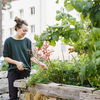 Hochbeet bepflanzen Jahresplan: Tipps für eine üppige Ernte