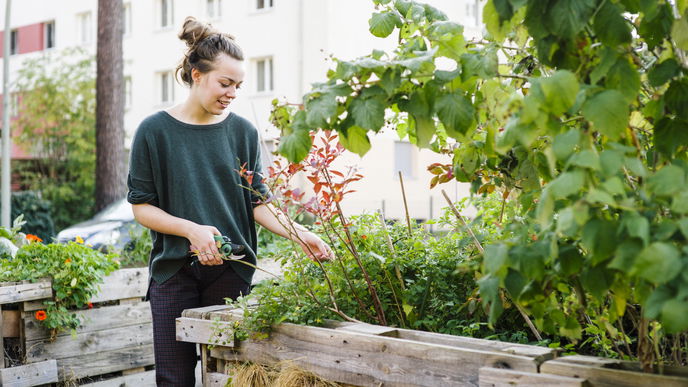 Hochbeet bepflanzen Jahresplan: Tipps für eine üppige Ernte