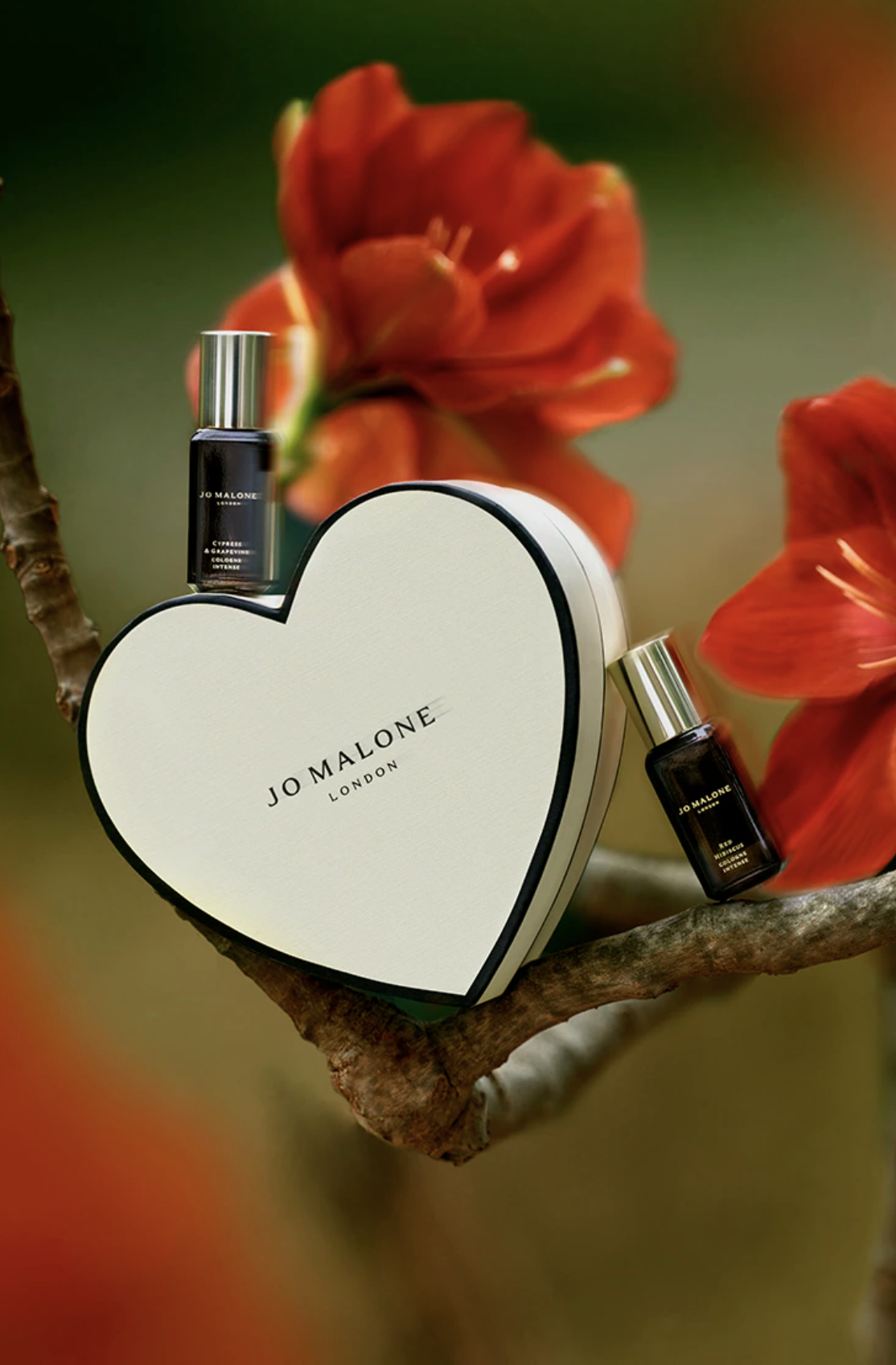 Neben einem perfekten Make-up, Outfit und der Frisur darf doch am Valentinstag eines nicht fehlen: ein verführerischer Duft! Passend dazu gibt es bei Jo Malone London eh schon eine wunderbare Auswahl an Düften, wobei das neueste Produkt "Red Hibiscus" unser neuer Favorit ist. Anlässlich des Valentinstages gibt es bei Jo Malone ab einem Mindestbestellwert von 150 Euro zwei 9 ml Colognes, wunderschön verpackt in einer kleinen herzförmigen Box – eben das perfekte Geschenk zum Tag der Liebe.