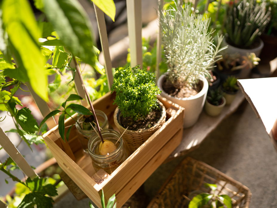 Kräutergarten Balkon