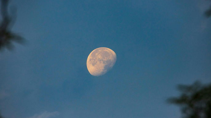 Wochenhoroskop: Diese 4 Sternzeichen haben Pech vom 26. Februar bis zum 3. März