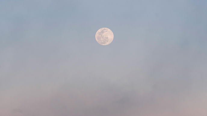 Diese 4 Sternzeichen profitieren vom Jungfrau-Vollmond am 24. Februar