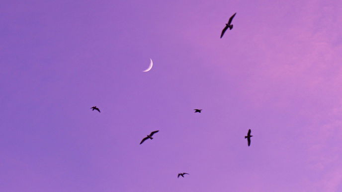 Wochenendhoroskop: So stehen deine Sterne am Wochenende vom 01. bis 02. Februar