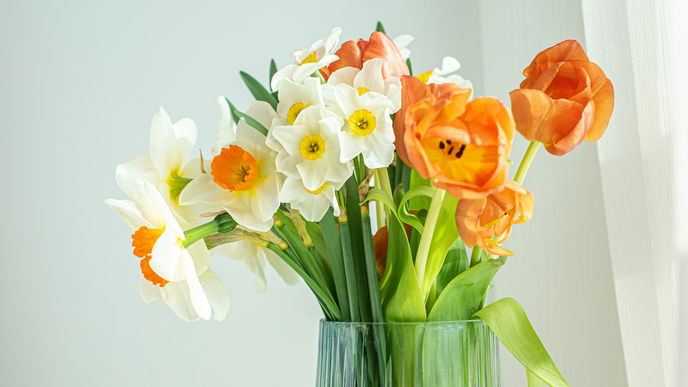 Experte verrät: Mit diesem Pflanzen-Trick halten deine Blumen 3 Wochen länger